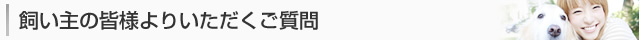飼い主の皆様よりいただくご質問