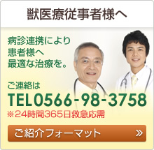 獣医療従事者様へ 病診連携により 患者様へ 最適な治療を。 ご連絡は0566-98-3758 ご紹介フォーマット